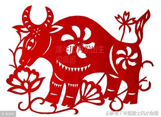 属牛10月份出生的命运-第5张图片-龙珠生肖网