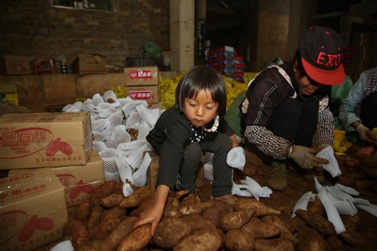 多多果园日活跃用户单季涨超1100万-扬中新闻