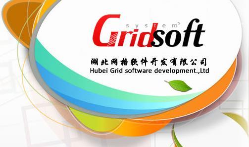 软件开发公司