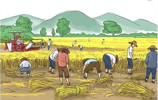 我是农民我没钱?2018年农村创业还有1条路，错过就该你穷一辈子
