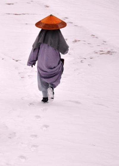 僧人图片背影