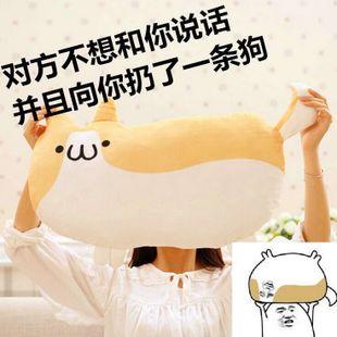 对方不想和你说话并向你扔了一只狗