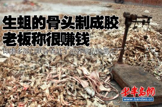 生蛆的骨头制成胶老板称很赚钱(图)