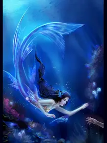 夜空人鱼壁纸 头条搜索