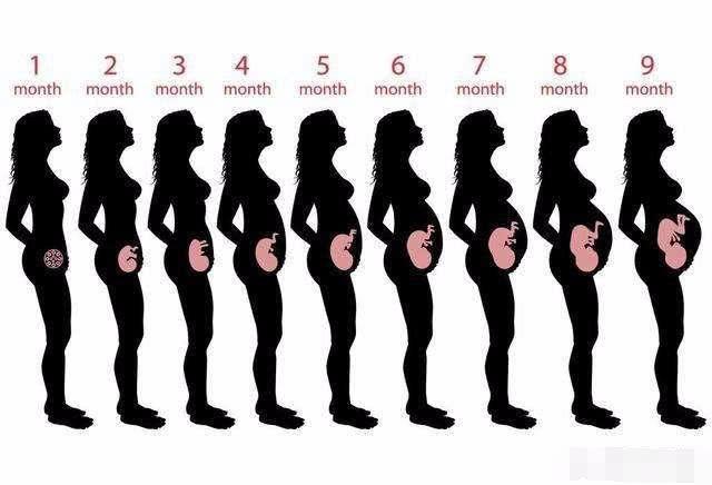 胎儿在肚子里都做些什么