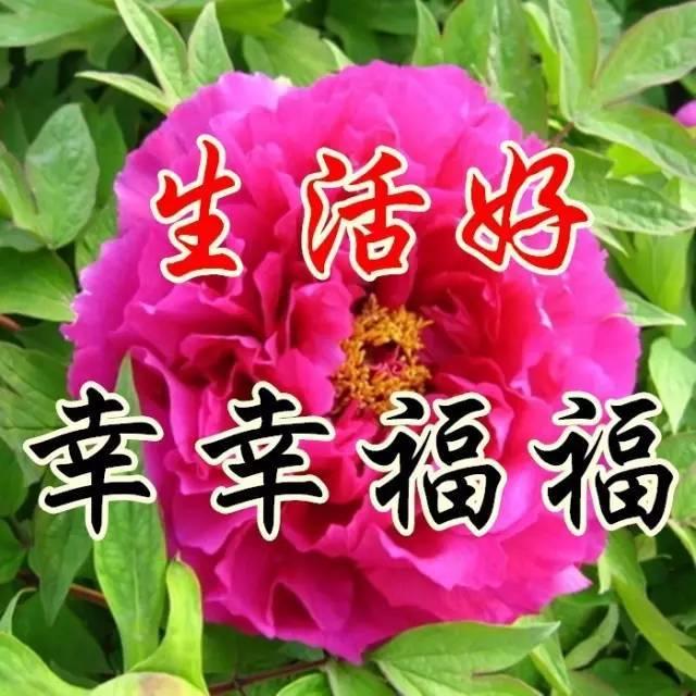 2019处暑祝福语大全