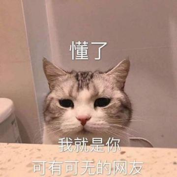 你懂的可爱搞笑表情包
