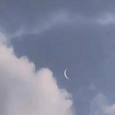 温柔治愈系背景图,风景静物,唯美