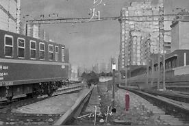 自以为(刘大壮)