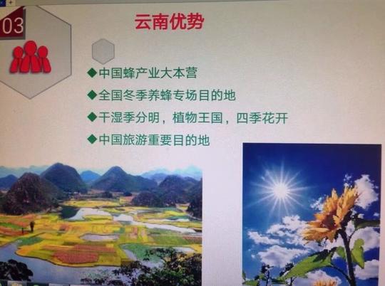 案例分析:蜂花旅大学生创业计划