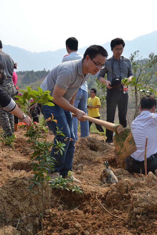 携手创业路"为主题的福州市青年创业者公益植树活动,我市100多位青年