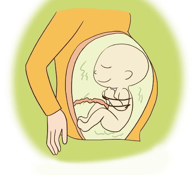 不显怀肚子小是不是宝宝也小