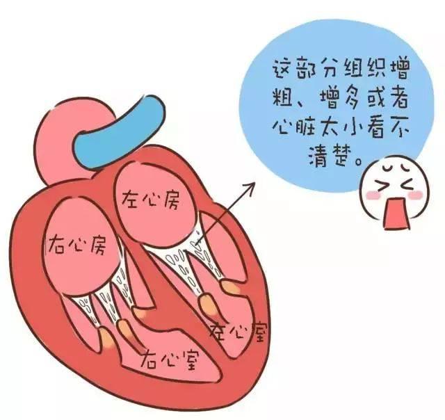 怎么能知道胎儿发育是否正常