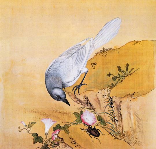 故宫鸟谱012白喜鹊仿古画*名人字画名家书画29x32花鸟画小品