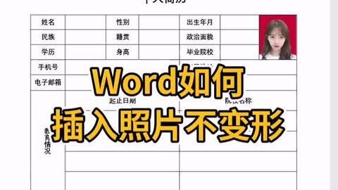 word如何在表格最后添加一行