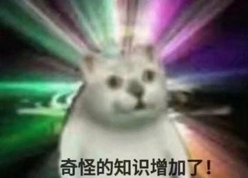  神经病猫搞笑QQ幽默表情包