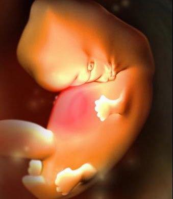 胎动频繁是怎么回事？该怎么办呢