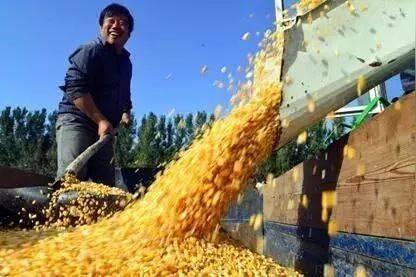 吾谷新闻全部正文点击农业创业说关注我哦补贴政策变化,致富经