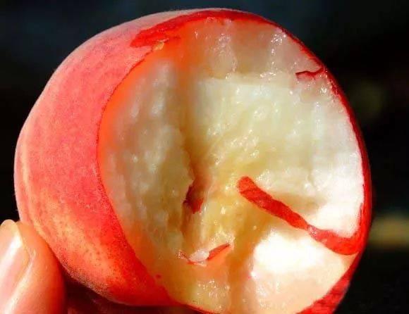 适合孩子夏季吃的应季水果汇总