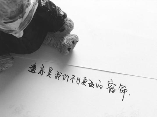 14最新纯手写文字控图片他一定会找到你你要等