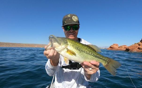 海钓路亚用多长的竿,钓海鲈鱼一般用多长的路亚竿?