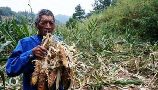 农村俗语:没钱不做三生意,有钱不做三买卖,为啥这样说