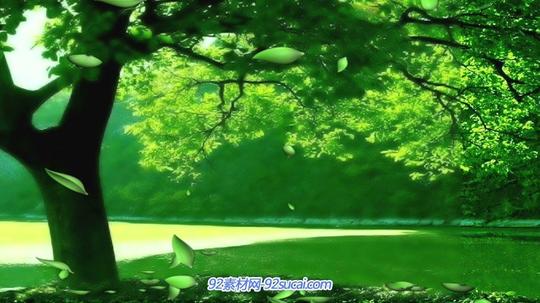 唯美清新绿色环保背景美丽湖边茂盛的大树绿叶纷飞动态视频素材