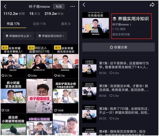 一条抖音广告报价100w:萌宠类账号如何靠短视频赚钱?