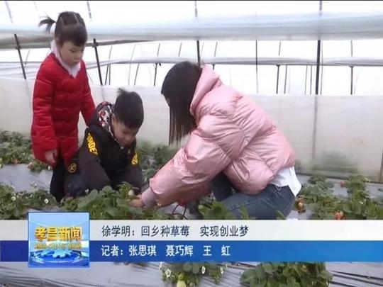 徐学明:回乡种草莓实现创业梦