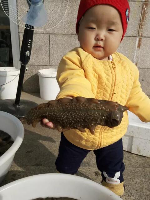 孕妇能吃海参吗?什么时候吃最好