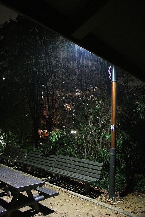 农民,晚上路灯,[感性照片]下雨的秋日夜晚