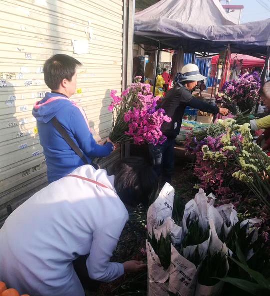 云南鲜花干花称斤卖跑江湖地摊新奇模式勿忘我花满天星批发包邮