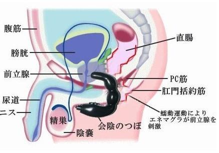 怎么判断宝宝尿路感染了