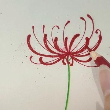 彼岸花简笔画 头条搜索