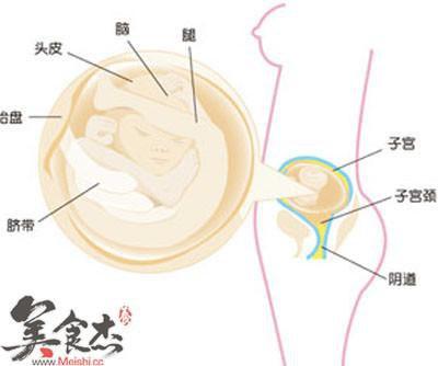 怀孕5个月食谱大全图片