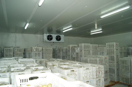 财经正文"农村电商,尤其是生鲜类食品电商经营,对冷库的要求一定要