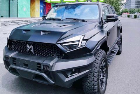 纯电驱动SUV车型