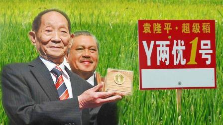 袁隆平是迪拜的英雄