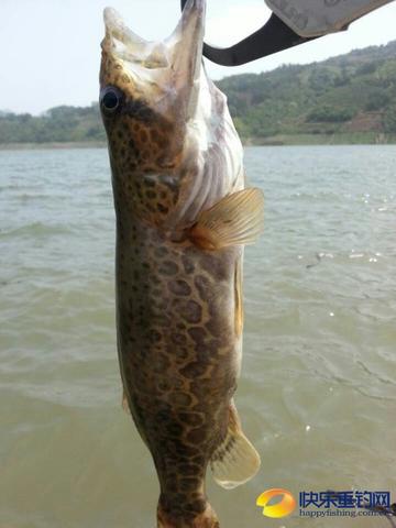 桂林 路亚相关长尾关键词有哪些