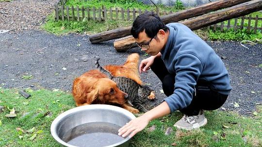 村民野捕整整2斤原生虾，不料拿回养殖场抄起一看，果然暗藏惊喜