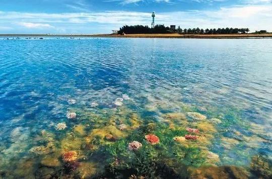 比三亚更撩人,中国最南端藏着一个"冷门版北海道",却无人问津!