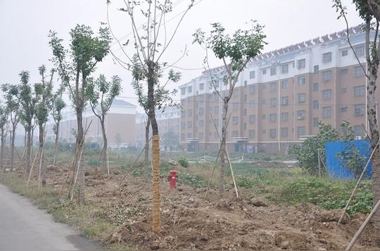 山东微山县:卖地打造新农村_手机搜狐网