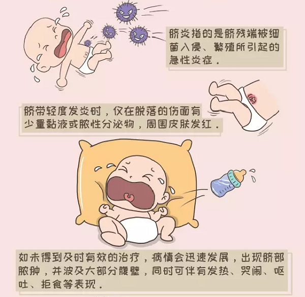 孩子的肚脐