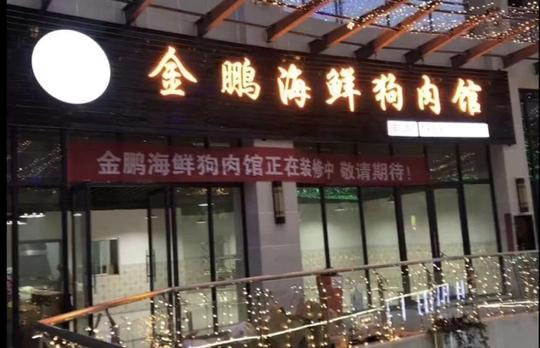 8折2,开业前三天啤酒免费喝地址:紫云·鑫都b馆2楼12月21日当