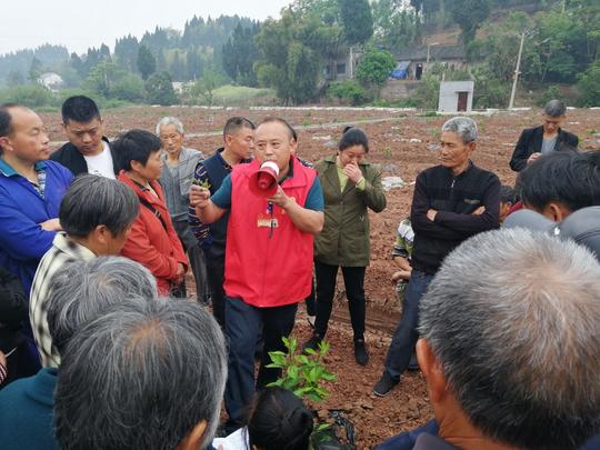 秦兆宏正为村民讲解种植技术。受访者供图华龙网-新重庆客户端发