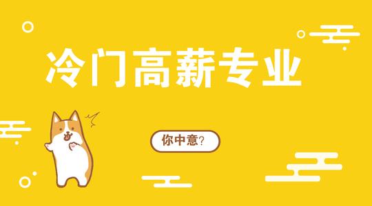 10大冷门高薪专业,有你中意的吗?