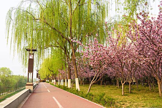春天公园道路_图片大全—全景创意图库（quanjing.com）中国领先的正版图片视频素材网站