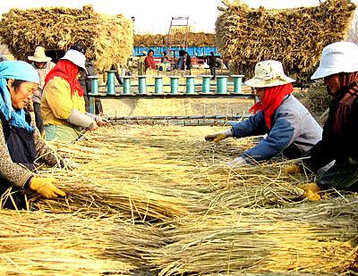农村大姐&lt;/strong&gt;在家开厂,把稻草变废为宝,年收入轻松超过10w
