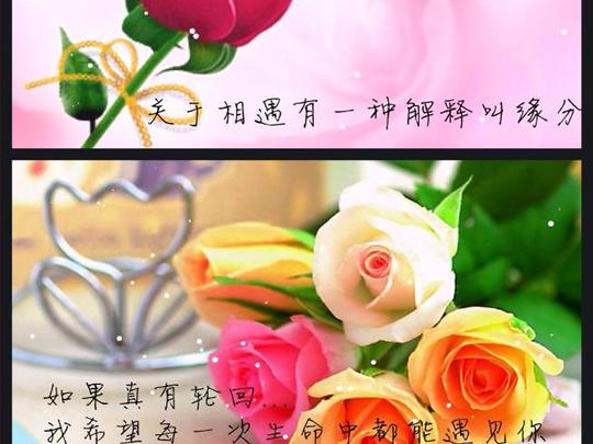 浪漫情人节手机微信小视频