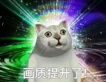  神经病猫搞笑QQ幽默表情包